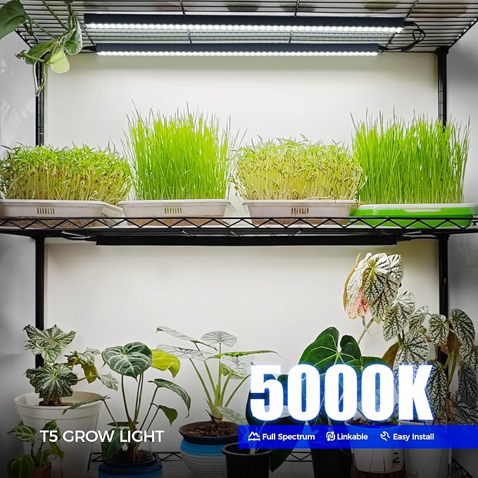 Barrina T5 Grow Lights for Indoor Plants, 2FT 20W Plant Grow Lights Indoor - Image 3