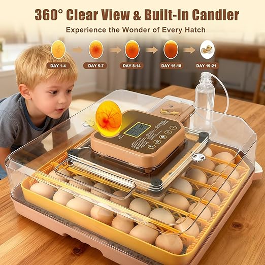 4th Gen - 48 Egg Fully Automatic Incubator, 2026 Upgraded Design, Intelligent - Image 3