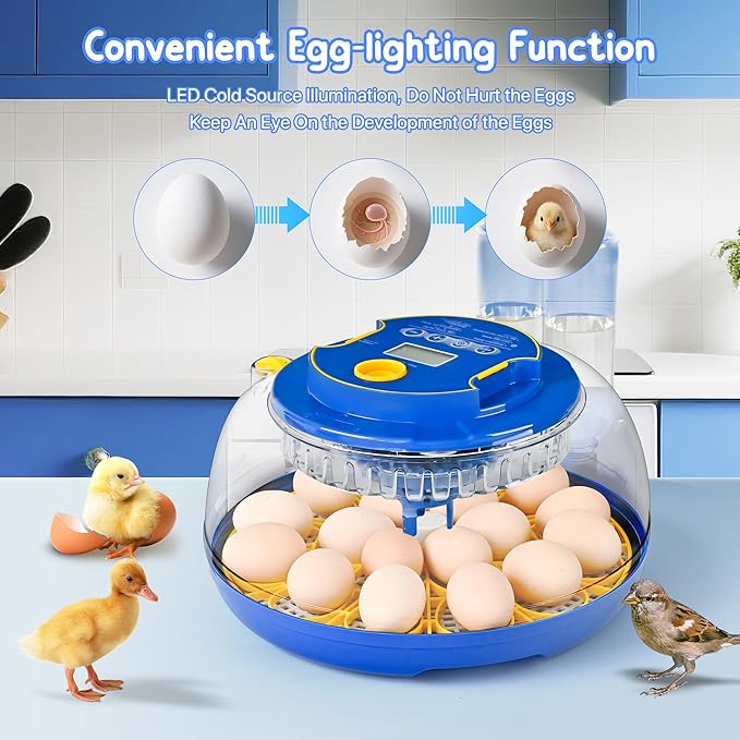 18-36 Eggs Incubators for Hatching Eggs - Image 3