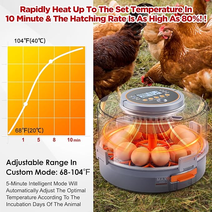 Chicken Egg Incubator 12-40 Eggs - Image 3