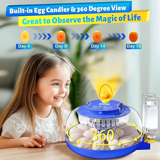 Incubator for Hatching 18 Eggs - Image 6