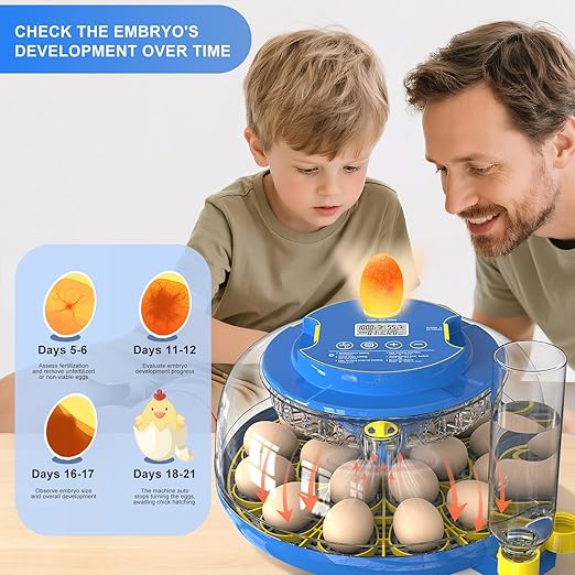 18 Egg Incubator for Hatching Chicken, Quail Eggs – 360° Visible Lid, Automatic - Image 5