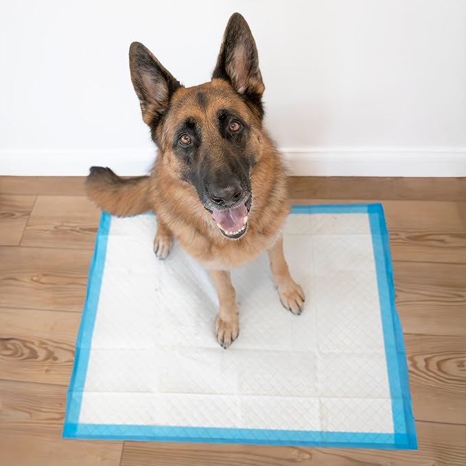 Four Paws Wee-Wee Superior Performance Pee Pads - Image 6