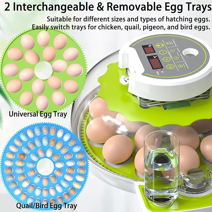 18/60 Egg Incubator with Humidity Display, Incubators - Image 2