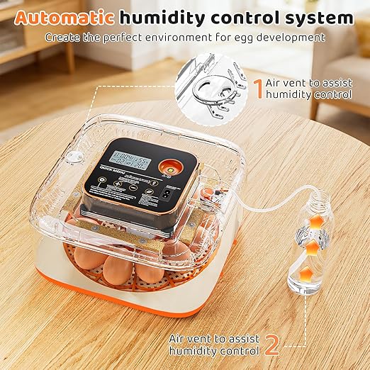 Incubators for Hatching Eggs 12 Egg Digital Egg Incubator Precision Auto Temp - Image 5