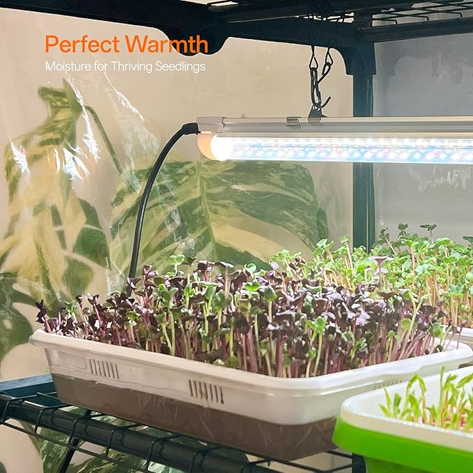 Bstrip Indoor Greenhouse with Grow Light, 4-Tier Mini Green House, Zippered PVC - Image 4