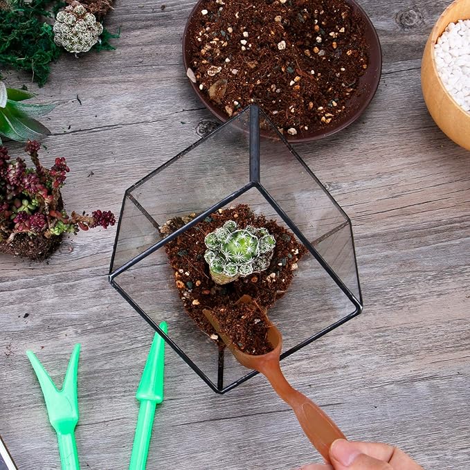 ELEGANTLIFE Glass Geometric Plant Terrarium Container, Flower Pot Tabletop - Image 7