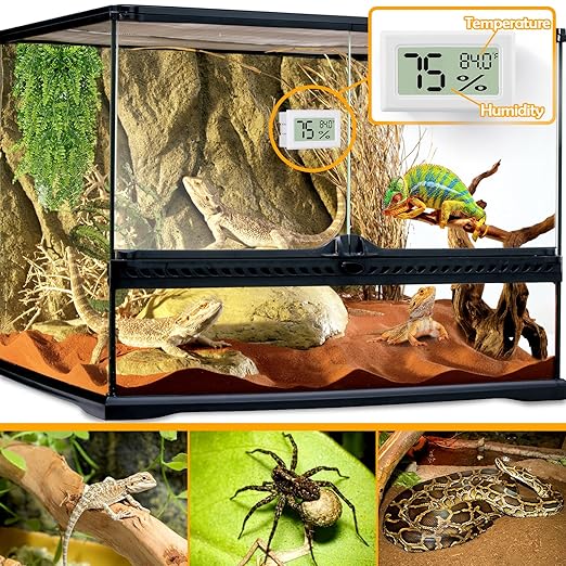 Bearded Dragon Accessories, Reptile Tank Accessories - Image 2