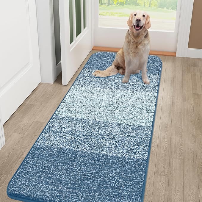 Smiry Dog Door Mat for Muddy Paws, Absorbs Moisture and Dirt, Low-Profile by Smiry