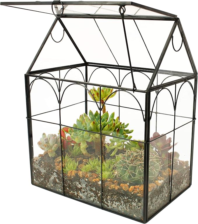 ELEGANTLIFE Glass Geometric Plant Terrarium, Succulent & Air Planter by ELEGANTLIFE