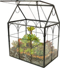 ELEGANTLIFE Glass Geometric Plant Terrarium, Succulent & Air Planter by ELEGANTLIFE