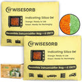240G 2 Pack Reusable Silica Gel Desiccant Dehumidifier Bags, Color Indicating by Wisesorb