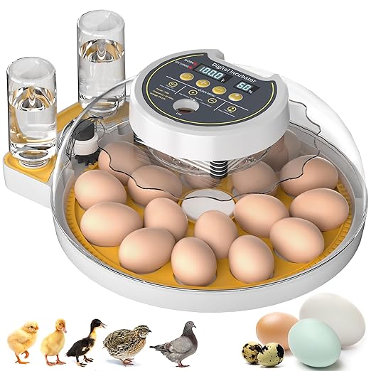 18 Egg Incubator with Automatic Egg Turning and Humidity Control, Incubators by Onsju