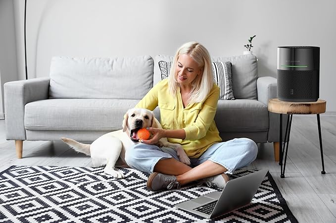 GermGuardian Airsafe+ Air Purifier - Image 10