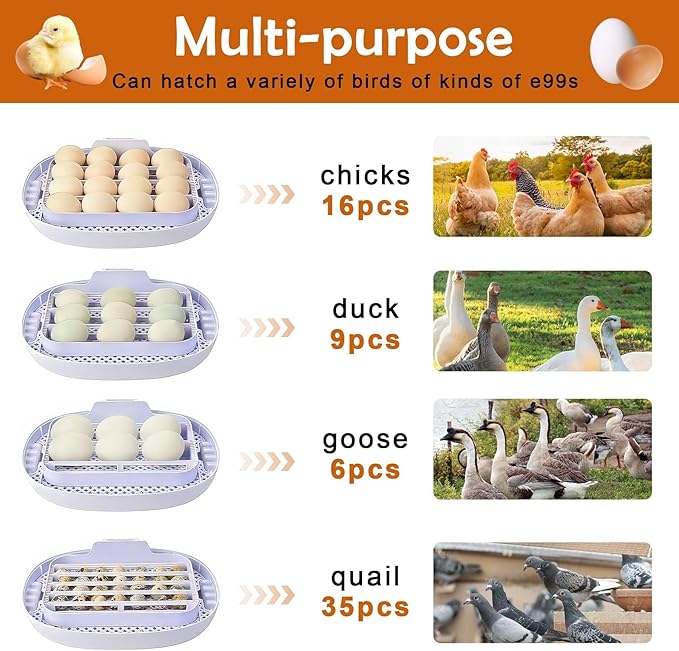 16 Egg Incubator with Automatic Egg Turning and Humidity Control, 360 Degree - Image 4