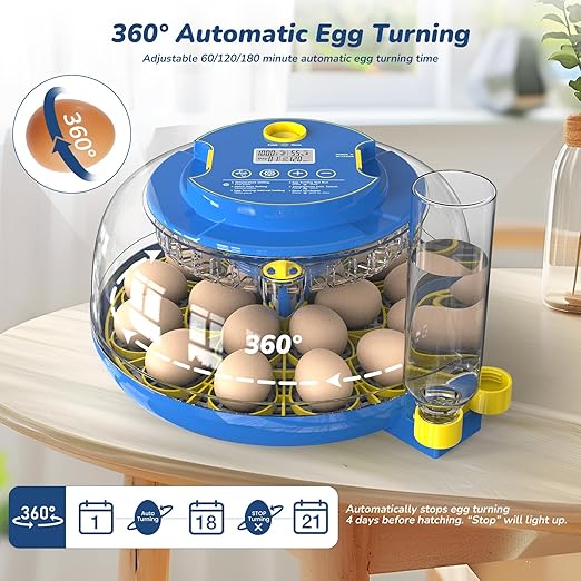 Incubator for Hatching Eggs - Image 4