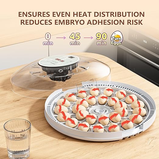 MeeF incubators for Hatching 28 Eggs, Independent atomizing humidifier - Image 5