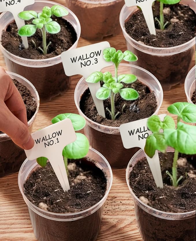 homenote Clear Nursery Pots for Plants, 5 Inch Plant Pot for Planting Plastic - Image 2