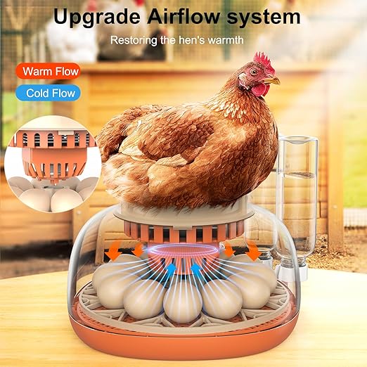 12 Egg Incubator, Automatic Turning - Image 4