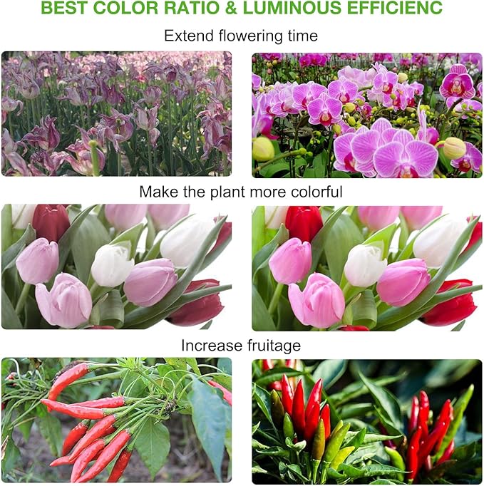 LED Grow Light Full Spectrum, CFGROW Waterproof 300W COB LED Grow Light - Image 6