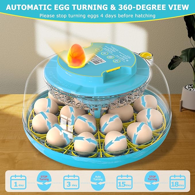 Incubators for Hatching Eggs, 18 Eggs Incubator - Image 4