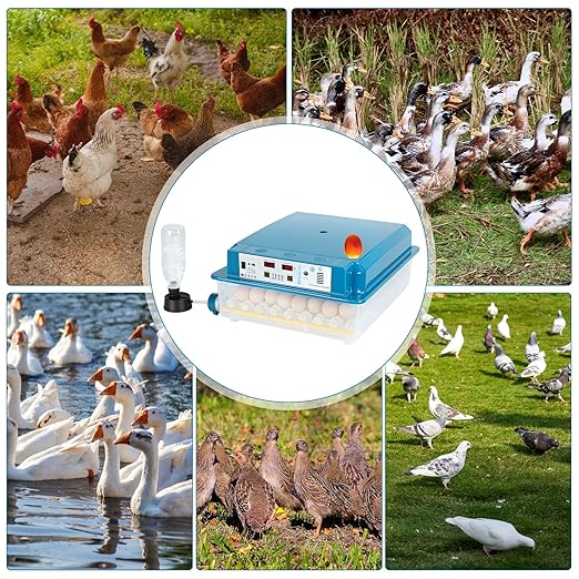 64 Egg Incubators for Hatching Eggs, - Image 9