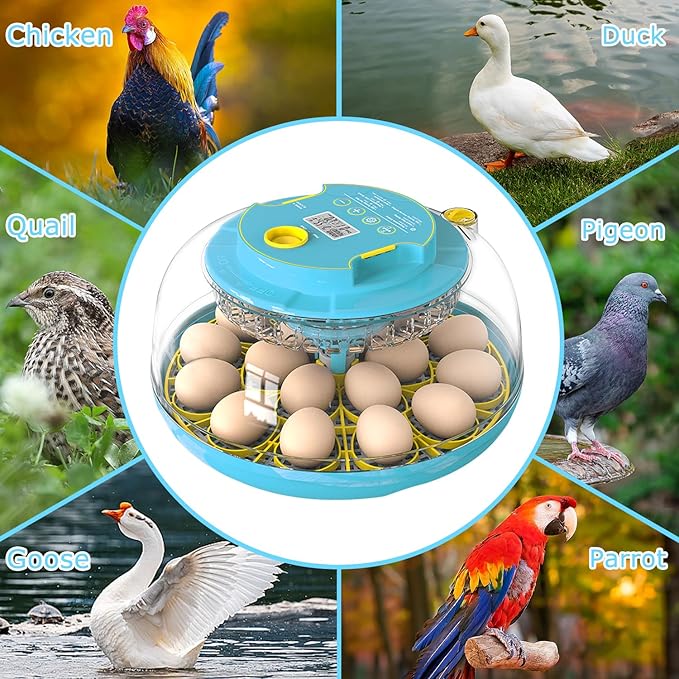 Incubators for Hatching Eggs, 18 Eggs Incubator - Image 6