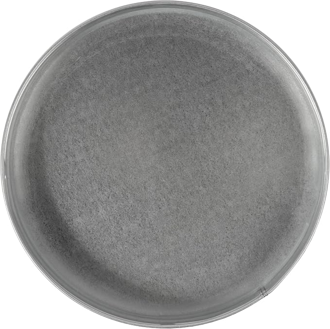 Repa Market 12.5 Inch Metal Tee Cap – Round Metal Duct Cap - Image 9