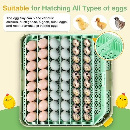 Sailnovo 48 Egg Incubator for Hatching Eggs - Image 7