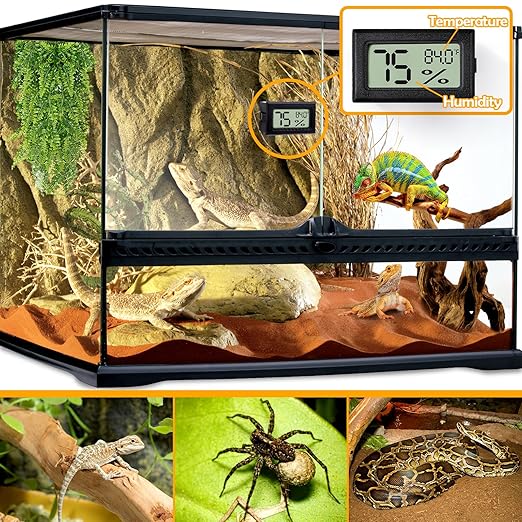4 PCS Rectangle Reptile Thermometer and Humidity Gauge - Image 2