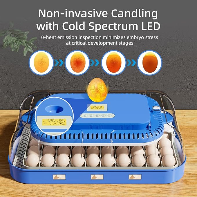 70 Egg Incubator for Hatching Eggs, Intelligent Incubator - Image 5