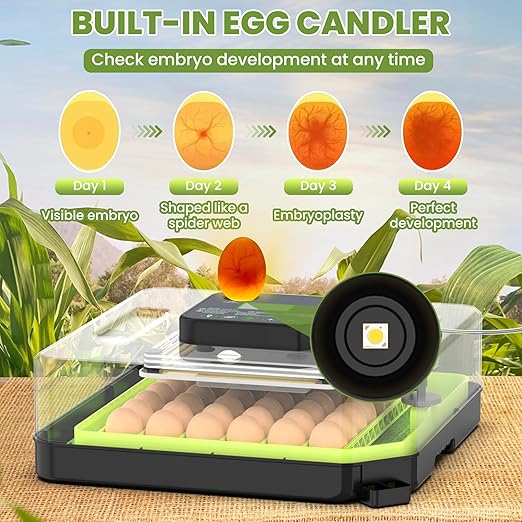 48 Egg Incubator for Hatching Eggs - Image 5