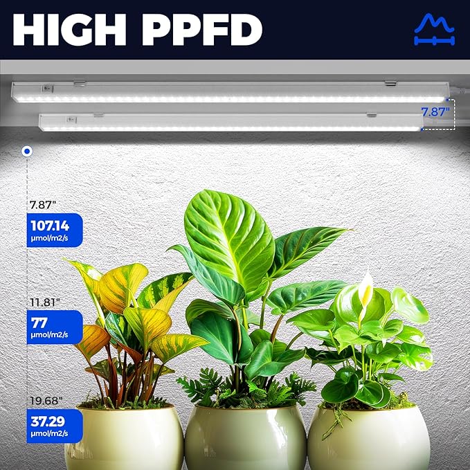 Barrina T5 Grow Lights for Indoor Plants, 2FT 40W LED Grow Light - Image 3