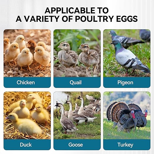 Incubators for Hatching Eggs, 136 Eggs Incubator Digital Poultry Hatcher - Image 8