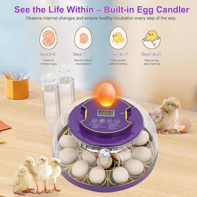 18 Egg Incubator for Hatching Eggs – - Image 5