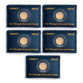wisedry 100g See-Through Desiccant Packs by wisedry