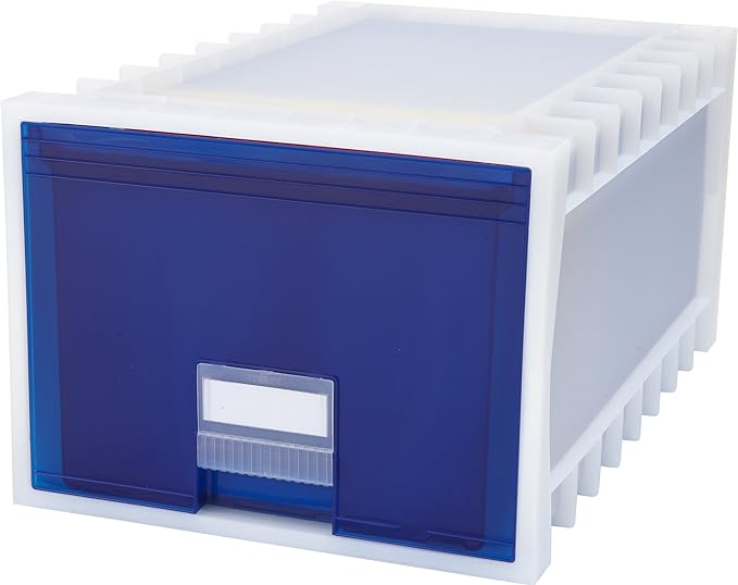 Storex 24-Inch Archive Storage Box by Storex