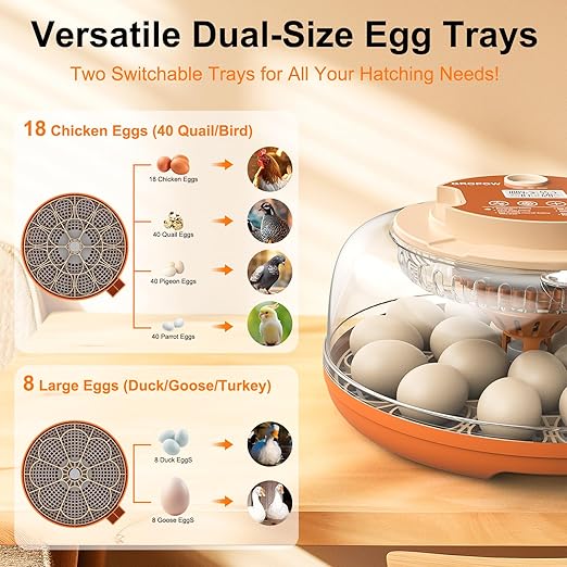 18 Egg Incubator, Automatic Turning - Image 6