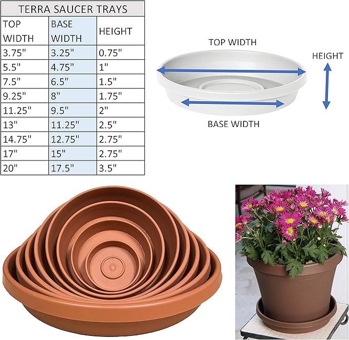 Bloem Terra Resin Saucer Tray: 9.25" Bottom Width - Image 3