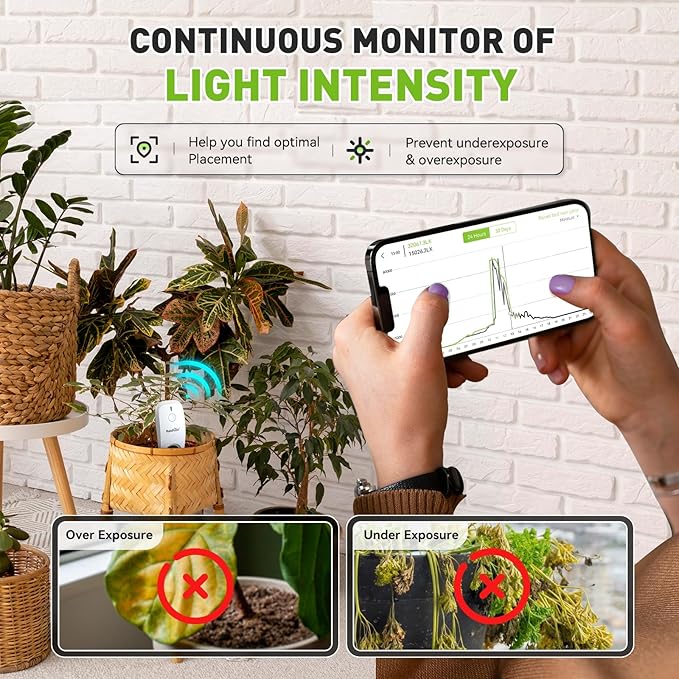 RainPoint 3-in-1 APP Remote Monitoring WiFi Soil Moisture Meter - Image 6