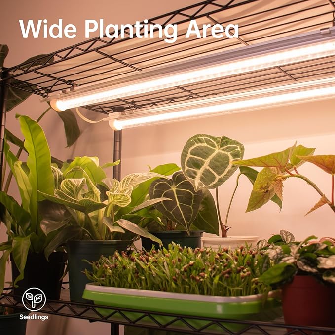 Bstrip 71" Indoor Greenhouse - Image 5