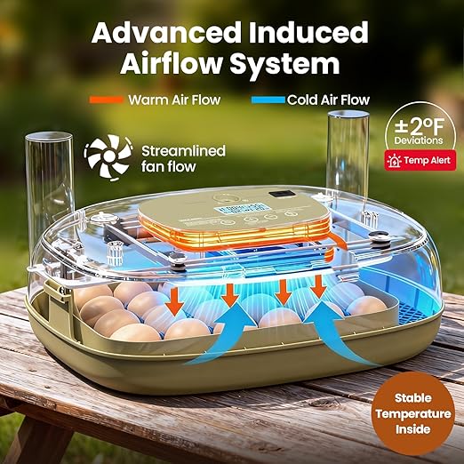 Incubators for Hatching Eggs, 24 Eggs Capacity - Image 2