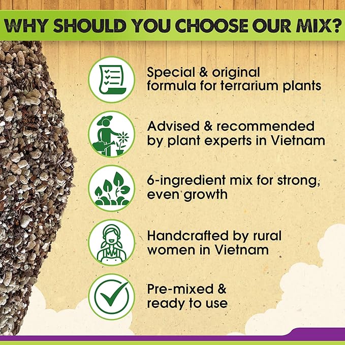 DUSPRO Recycle Premium 6in1 Terrarium Soil Mix – Pre-Mixed Terrarium Substrate - Image 4