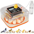 Incubators for Hatching Eggs 12 Egg Digital Egg Incubator Precision Auto Temp by Unknown