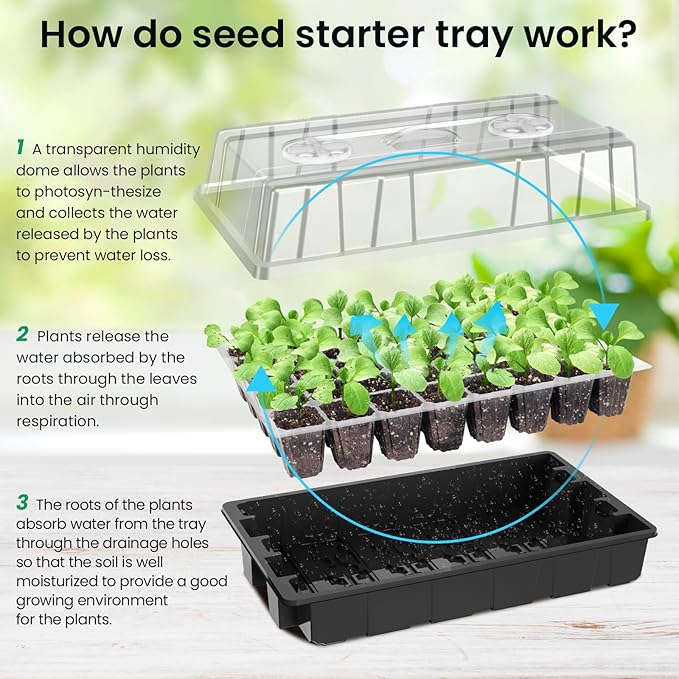 MIXC Seed Starter Tray with Lights, 2 Packs Mini Propagator Plant Grow Kit - Image 5