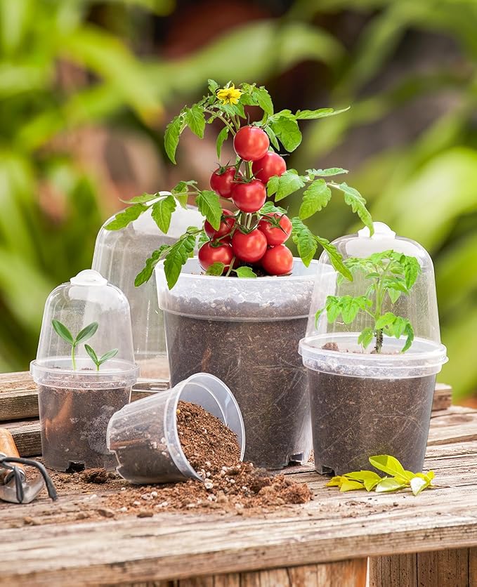 homenote Clear Nursery Pots for Plants, 3/4/5 Inch Plant Pot for Planting - Image 2
