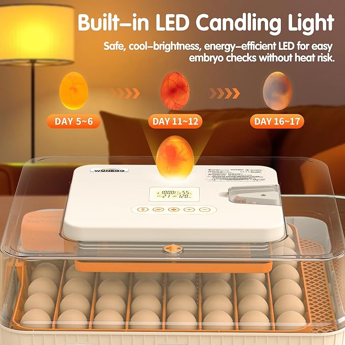 56 Eggs Incubators for Hatching Eggs - Image 5