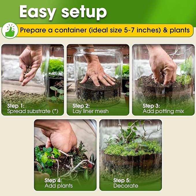 DUSPRO Recycle Terrarium Kit, Include Potting Soil, Sphagnum Moss, Decorative - Image 4