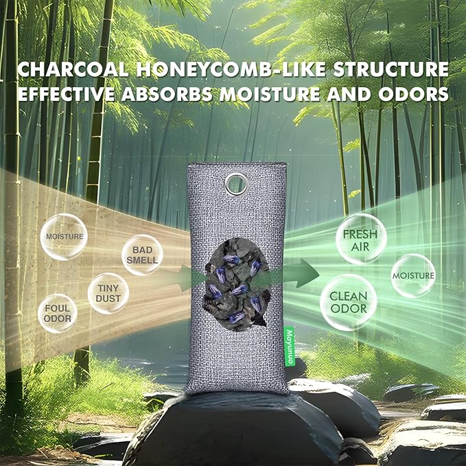 Activated Charcoal Odor Absorber - Image 3
