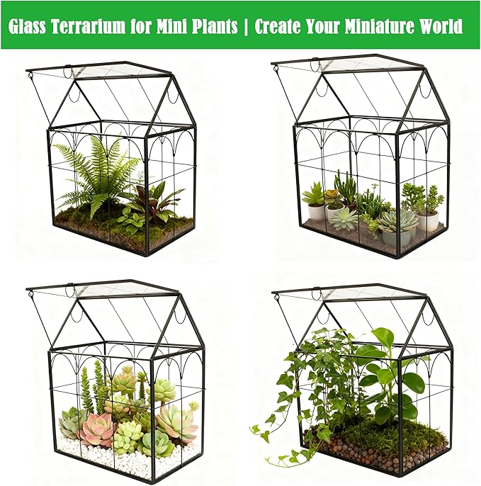 ELEGANTLIFE Glass Geometric Plant Terrarium, Succulent & Air Planter - Image 3